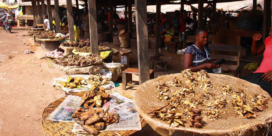 gboko fish market © I am Benue 2018