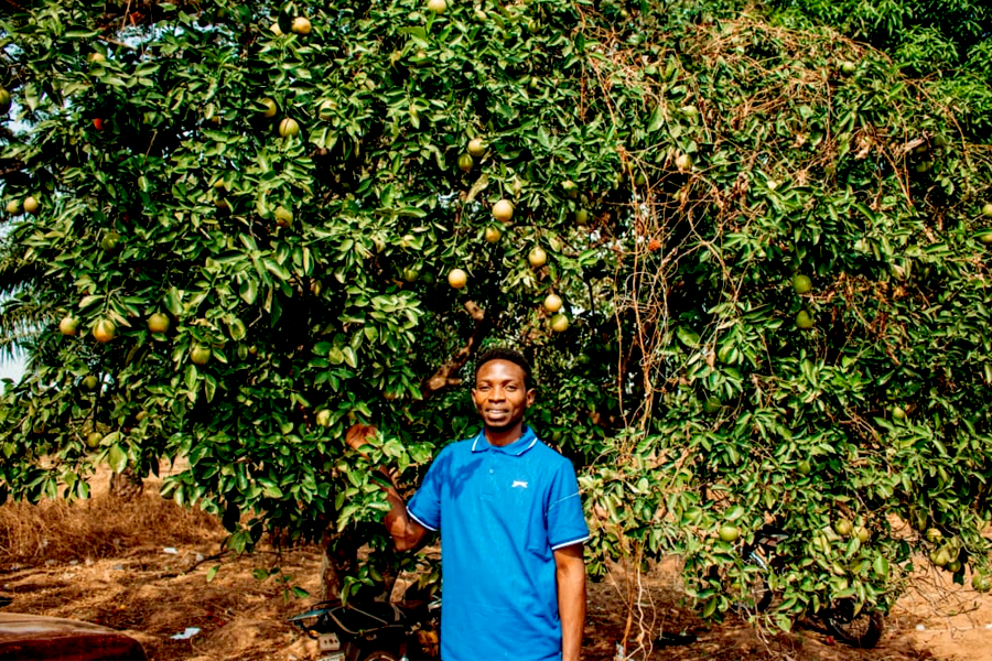 Benue Oranges © I am Beniue 2023